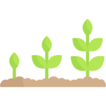 growth